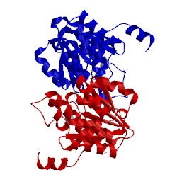 Image of CATH 4pcl