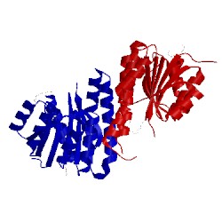 Image of CATH 4pcv