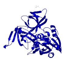 Image of CATH 4pd1