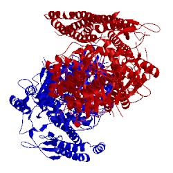 Image of CATH 4pd3