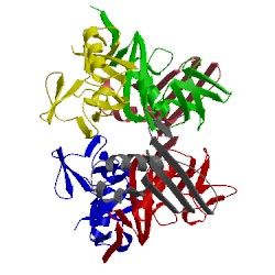 Image of CATH 4pdc