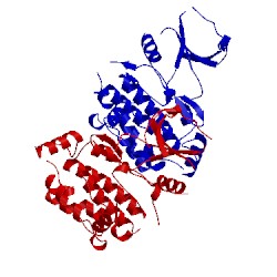 Image of CATH 4pdp
