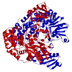 Image of CATH 4pdx