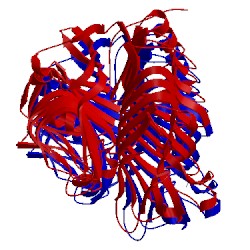 Image of CATH 4pex