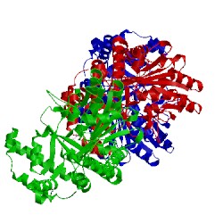 Image of CATH 4pff