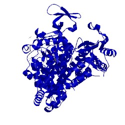 Image of CATH 4pfo