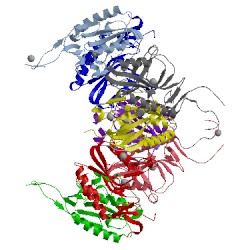 Image of CATH 4pfq