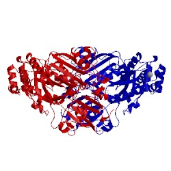 Image of CATH 4pft