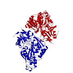 Image of CATH 4pfu