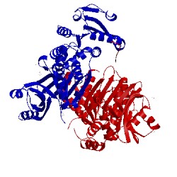 Image of CATH 4pg5