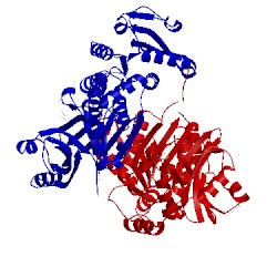 Image of CATH 4pg6