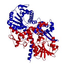 Image of CATH 4pgg