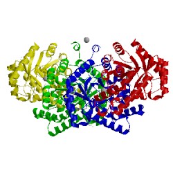 Image of CATH 4pgl