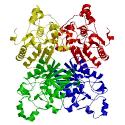 Image of CATH 4pgm