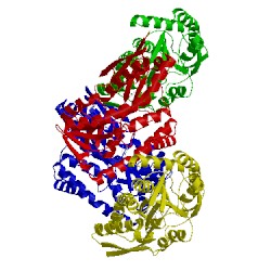Image of CATH 4pgn