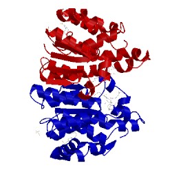 Image of CATH 4pgt