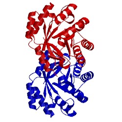 Image of CATH 4ph6