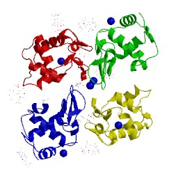 Image of CATH 4phi