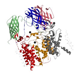 Image of CATH 4pi0