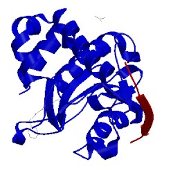 Image of CATH 4pid