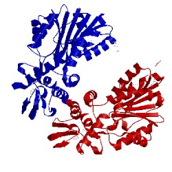 Image of CATH 4pim