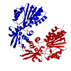 Image of CATH 4pin