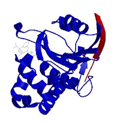 Image of CATH 4pis