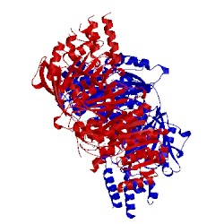 Image of CATH 4piv