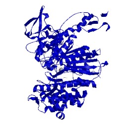 Image of CATH 4pjk