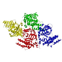 Image of CATH 4pjt