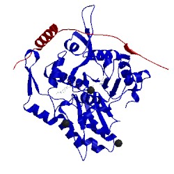 Image of CATH 4pkg