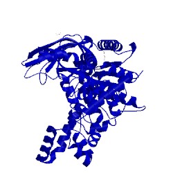Image of CATH 4pkq