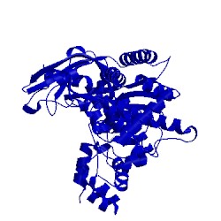 Image of CATH 4pku