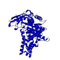 Image of CATH 4pkw