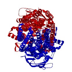Image of CATH 4pl0