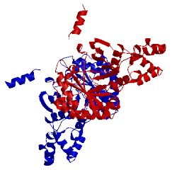 Image of CATH 4pl2