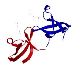 Image of CATH 4pl6