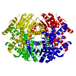 Image of CATH 4plc