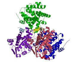 Image of CATH 4ple