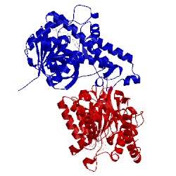 Image of CATH 4plf