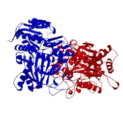 Image of CATH 4plp