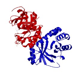 Image of CATH 4pmn