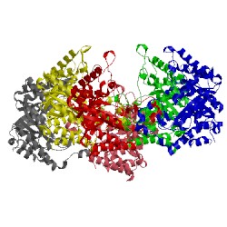 Image of CATH 4pmu