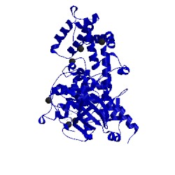 Image of CATH 4pni