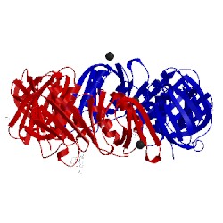 Image of CATH 4pnu