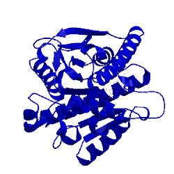 Image of CATH 4po3