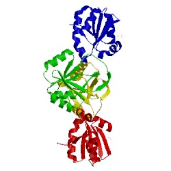 Image of CATH 4pom