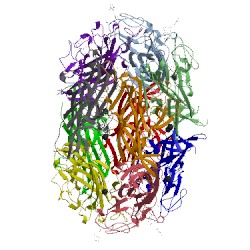 Image of CATH 4por
