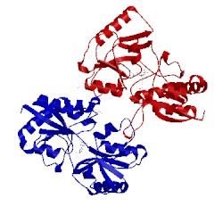 Image of CATH 4pow