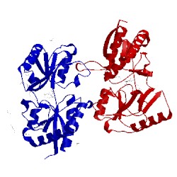 Image of CATH 4pox
